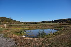 kleiner Tümpel mit Wald im Hintergund