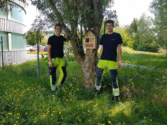 Insektenhotel 2 Mitarbeiter in Arbeitsklamotten stehen neben einem Baum an dem ein Insektenhotel hängt
