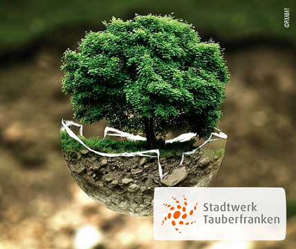 Grüner Baum in Nussschale